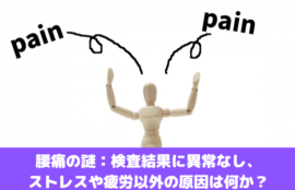 腰痛の謎：検査結果に異常なし、ストレスや疲労以外の原因は何か？