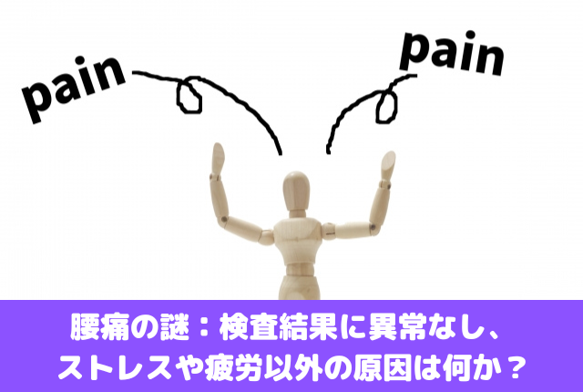 腰痛の謎：検査結果に異常なし、ストレスや疲労以外の原因は何か？